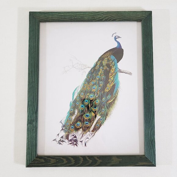 Framed Peacock Watercolor Painting Print Framed Wall Art Print 16" x 13" - Picture 1 of 4